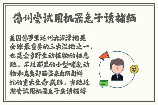 乐视视频app下载
